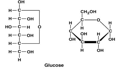 http://www.peoriaendocrine.com/images/diabetes_lecture/glucose.GIF