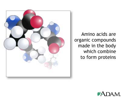 http://rds.yahoo.com/_ylt=A9gnMinSMyJGtuEAF6CjzbkF;_ylu=X3oDMTA4NDgyNWN0BHNlYwNwcm9m/SIG=12b3o76ni/EXP=1176733010/**http%3A/medicalimages.allrefer.com/large/amino-acids.jpg