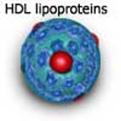 HDL lipoproteins