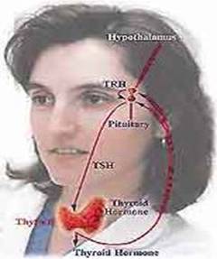 thyroid cancer disease hypthyroid allergy Dallas Fort Worth  Plano Texas